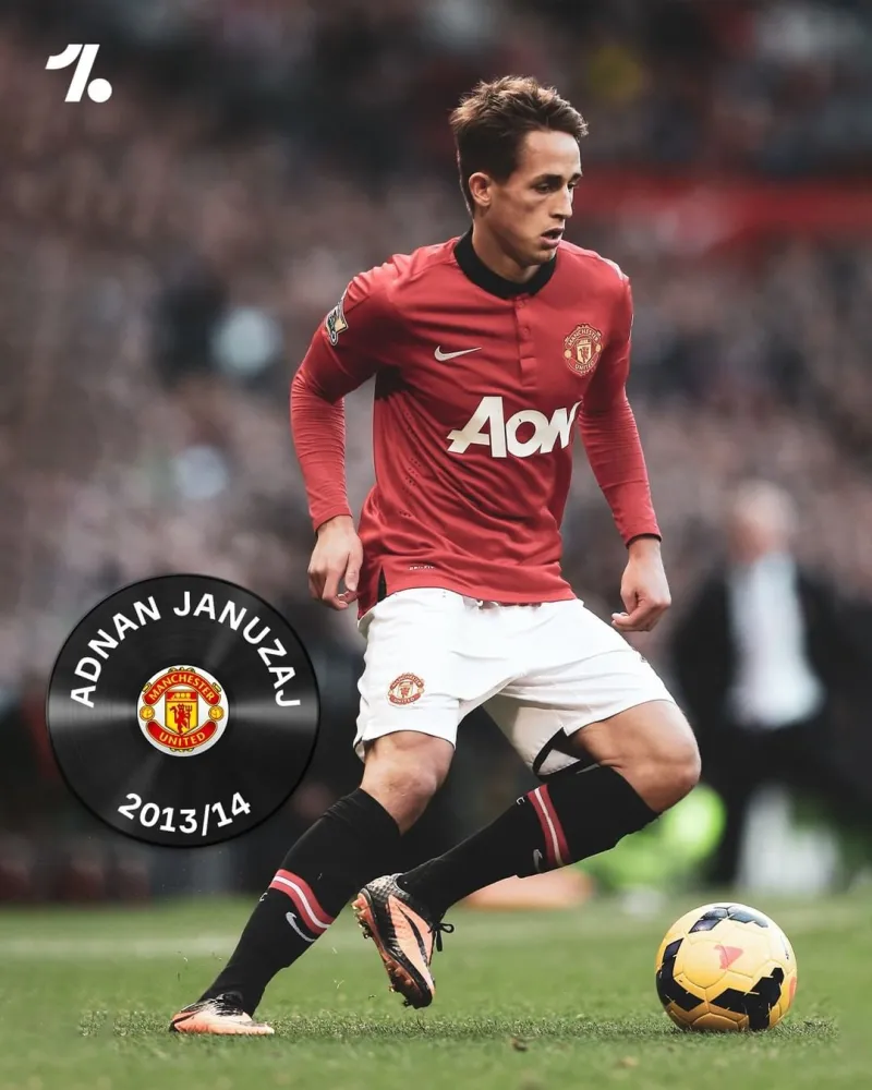 关于蒂姆迎来十二赛季高光表现,中国队球迷沸腾!的信息 关于蒂姆迎来十二赛季高光表现,中国队球迷沸腾!的信息